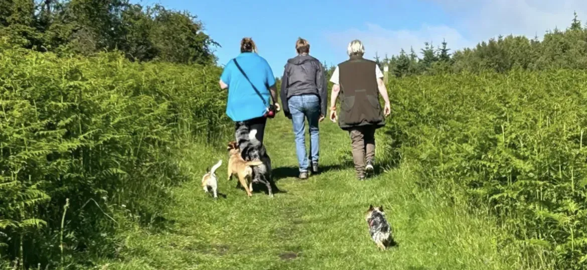 Walking Back to Happiness